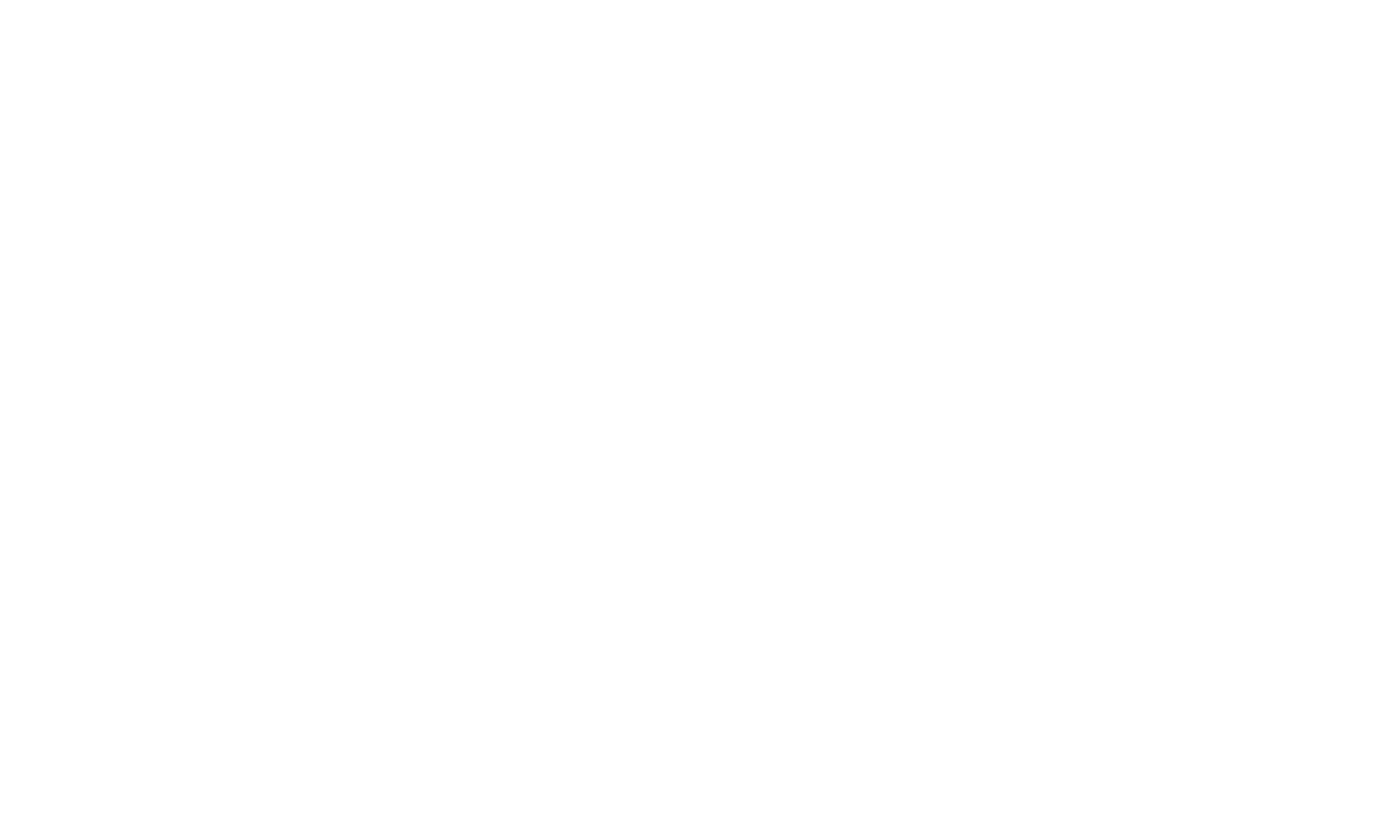 bg-asset